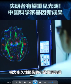 失明者有望重見光明，中國科學家<em>基因</em><em>編輯</em>新成果