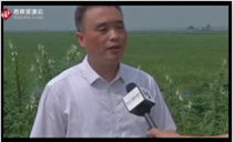 興惠利民，安徽省阜陽市潁上縣半崗鎮建立孔臺子電力排灌站