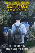 連踹5腳踢斷景區<em>仙人掌</em>！男子引發眾怒
