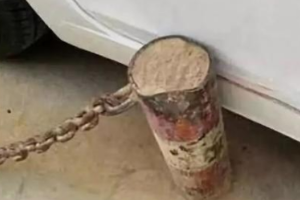 一根柱子“被撞”54次，<em>車</em><em>險</em><em>騙保</em>到底有多瘋狂？
