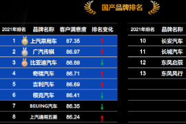 2021年<em>國產(chǎn)品牌</em>客戶滿意度排名