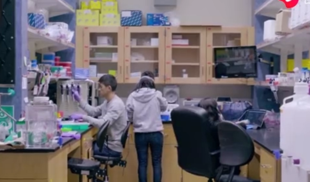 <em>微軟</em><em>DNA</em>計算機有新突破 向治愈癌癥邁出堅實一步