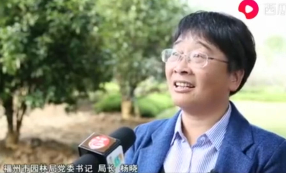 福州市園林局局長楊曉：小步積大綠 呵護滿城綠蔭