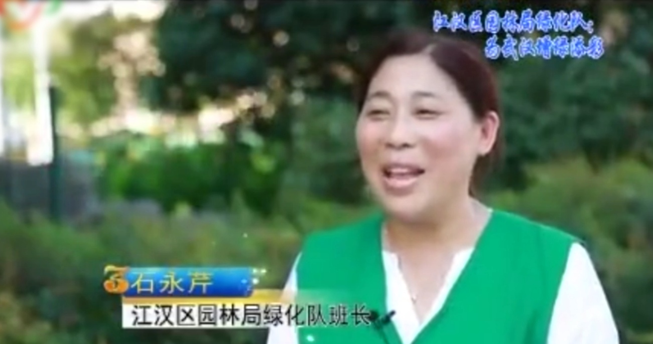 漢江區<em>園林</em>局綠化隊：為武漢<em>增</em><em>綠</em><em>添彩</em>