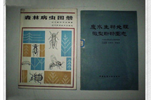 廢水生物處理微型動(dòng)物圖志