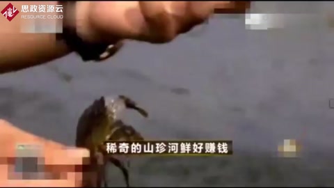 90后大學(xué)生回農(nóng)村零基礎(chǔ)養(yǎng)殖<em>螃蟹</em>