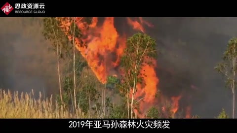 一分鐘了解2019年亞馬孫<em>森林</em>火災