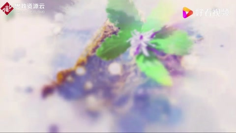 中藥在部分古<em>詩詞</em>中的體現