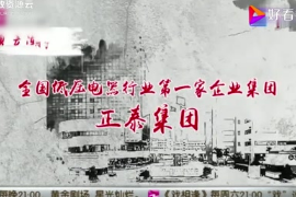 <em>正</em><em>泰</em>集團