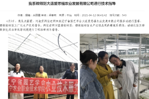 科技服務(wù)--遼寧省園藝學(xué)會(huì)技術(shù)服務(wù)團(tuán)隊(duì)到大連愛思福農(nóng)業(yè)發(fā)展有限公司服務(wù)站開展技術(shù)服務(wù)