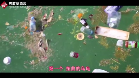 塑料對(duì)動(dòng)物<em>的</em>危害這么大！