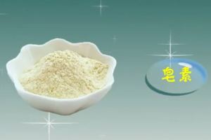 皂苷：苷元為三萜或螺旋甾烷<em>類化合物</em><em>的</em>一類糖苷