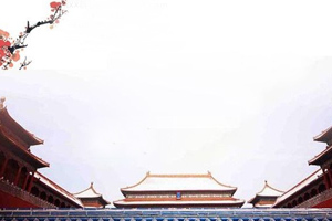 國慶話國車，<em>紅旗</em>精彩知多少？