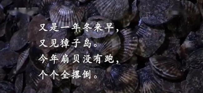<em>項目</em><em>四</em><em>存貨</em>----<em>存貨</em><em>期末</em><em>計量</em>（<em>獐子</em><em>島</em><em>違規(guī)</em><em>案例</em>，<em>合法經(jīng)營</em><em>重要性</em>）-<em>圖片</em>4