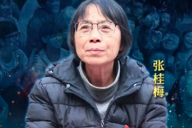 2020年感動(dòng)中國(guó)十大人物—<em>張</em><em>桂</em><em>梅</em>