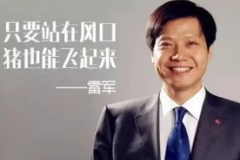 IT精英—<em>雷</em><em>軍</em>