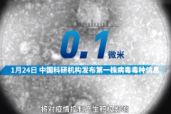 授課視頻：刻度上<em>的</em><em>中國(guó)</em><em>戰(zhàn)</em><em>疫</em>