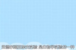<em>孟德?tīng)?lt;/em>豌豆雜交實(shí)驗(yàn)