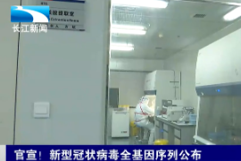 "好消息！已完成了新型冠狀病毒<em>的</em>分離鑒定及全<em>基因組</em><em>序列</em>測(cè)定 "