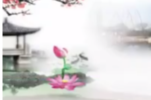 <em>微</em><em>課</em>：<em>戲曲</em><em>表演</em><em>專業</em>《紹興地方戲—紹興平湖調<em>表演</em><em>藝術</em>》