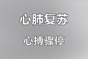 紅十字救護(hù)員培訓(xùn)課程：心肺復(fù)蘇-<em>心</em>搏驟停