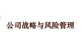 課件：工商管理專業(yè)《公司戰(zhàn)略與風(fēng)險(xiǎn)管理》