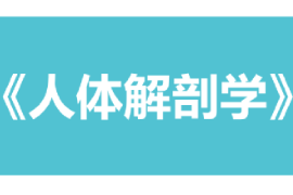 課件：康復治療學、護理學、助產學專業《人體解剖學》