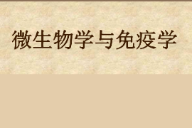 課件：園林、中草藥栽培與鑒定、環(huán)境生態(tài)工程，食品質(zhì)量與安全，生物制藥、生物技術(shù)、健康服務(wù)與管理專業(yè)《微生物學(xué)—微生物學(xué)與免疫學(xué)—緒論》