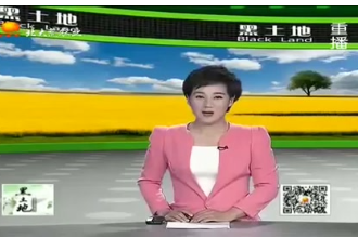 生豬養殖效益如何再提升？抓好這<em>三個</em>時期很重要