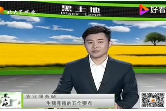 想要豬長膘快，<em>生豬</em>育肥<em>的</em><em>這</em>五個技術<em>要點</em>要記牢了