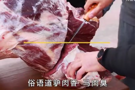 俗語道“驢肉香，馬肉臭，餓死不吃<em>騾子</em>肉”，為什么不吃<em>騾</em>肉呢？