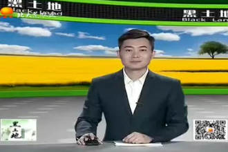 生豬養殖<em>需要</em><em>注意</em><em>的</em>要點都有<em>哪些</em>？這幾個方面很重要