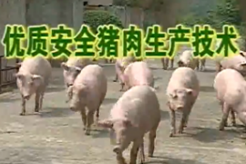 優質<em>安全</em>豬肉<em>生產</em>技術 <em>1</em>