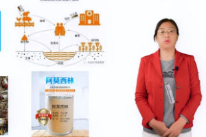 <em>微</em><em>課</em>：畜牧獸醫(yī)專業(yè)《<em>動(dòng)物</em>環(huán)境衛(wèi)生—飼料污染<em>與</em>控制》