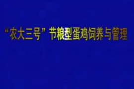 “農(nóng)大三號”節(jié)糧型<em>蛋雞</em><em>飼養(yǎng)</em>與<em>管理</em>