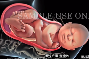 了解分娩的<em>三個</em><em>階段</em>