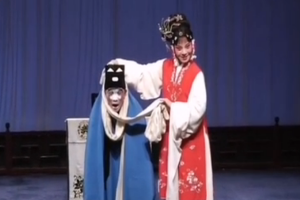【昆曲】《水滸記·活捉》片段
