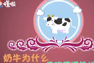 奶牛為什么只<em>吃草</em>還能增肌呢？