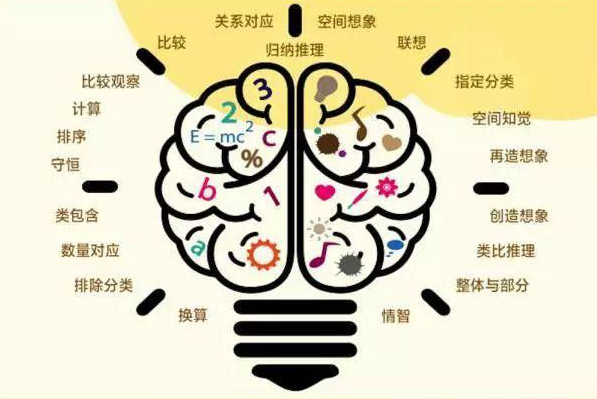 幼兒邏輯思維<em>發展</em>的過程