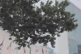 他們在<em>聯合國</em>當導游