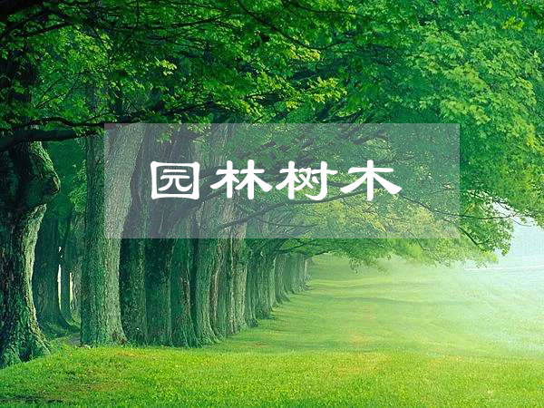 <em>園林</em><em>工程技術(shù)</em>、<em>園林</em>技術(shù)<em>專業(yè)</em>：《<em>園林</em><em>樹木</em>》<em>課程</em><em>思</em><em>政</em><em>課堂教學</em><em>設計</em>