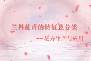 <em>微</em><em>課</em>：<em>園林</em><em>技術(shù)</em><em>專業(yè)</em>《<em>園林</em><em>花卉</em>—蘭科<em>花卉</em>的特征<em>及</em>分類》
