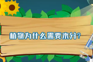 植物<em>為什么</em>需要水分？