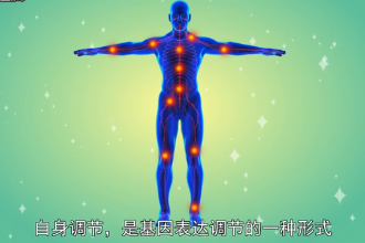 <em>自身</em>調(diào)節(jié)—基因表達(dá)調(diào)節(jié)形式