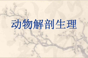 <em>課件</em>：<em>中</em><em>獸醫(yī)</em><em>專業(yè)</em>《<em>動物解剖</em><em>生理</em>—動物體的基本結(jié)構》
