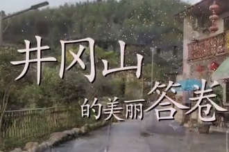 井岡山，煥發高質量發展的光彩