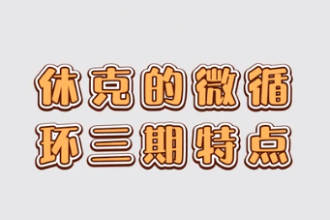 <em>休克</em>的微循環三期特點