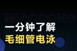 一分鐘了解毛細(xì)管電泳