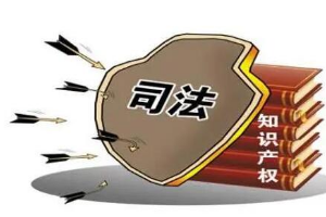 帶你了解<em>知識產權</em>法（圖4）