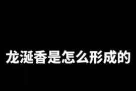 龍涎香是怎么形成<em>的</em><em>你</em><em>知道</em><em>嗎</em>？